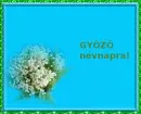 GyÅ‘zÅ‘ nameday