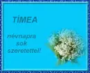 TÃ­mea nameday