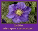 ZsÃ³fia nameday