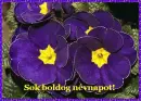 nameday