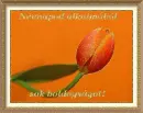 nameday