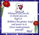 Mel - Dream - Genius - Power