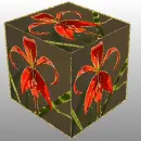 sprekelia