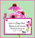 Mel - Love Is - Thanks - Cornflower
