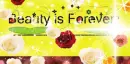 Beauty is Forever
