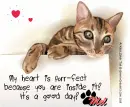 Mel - Heart Purr-fect - Heart - Cat