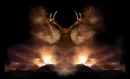 wicca