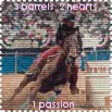 horse