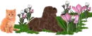 Pet lover's Garden