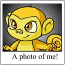 Photo of me!