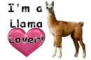 Llama
