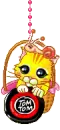 Cutie Cat