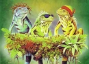3 Rasta Iguanas