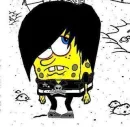 sponge bob
