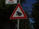 beware at the frogs 