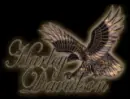 harley davidson