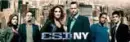 csi: new york