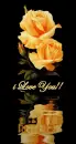 i love you