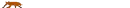 cockroach