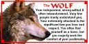 wolf