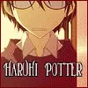 Ouran high school host club
