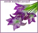 Mother's day