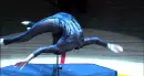 Cirque Du Soleil