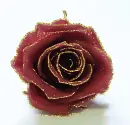 red rosa