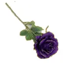 purple rosa
