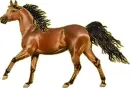 brown horse