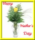 Single yellow rose in a vase