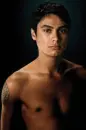 Twilight animation