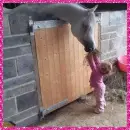 arabian horse with little girl