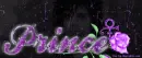 Prince Tribute