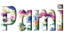 Pami