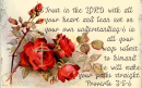 Proverbs 356