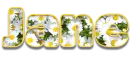 Daisies - Jane