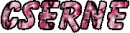 Cserne name