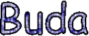 Buda name