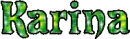 Karina name
