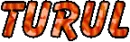 Turul name