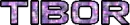 Tibor name