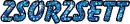 Zsorzsett name