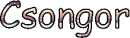 Csongor name