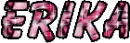 Erika name
