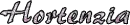 Hortenzia name