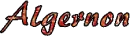 Algernon name