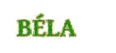 BÃ©la name
