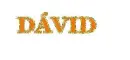 DÃ¡vid name