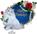 Happy Birthday!